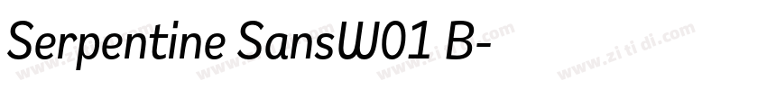 Serpentine SansW01 B字体转换